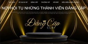 tri ân thành viên vip